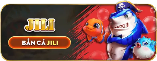 Quyền của người dùng về dữ liệu cá nhân A888 Win